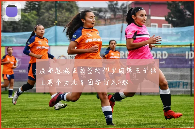 成都蓉城正式签约29岁前锋王子铭上赛季为北京国安打入5球