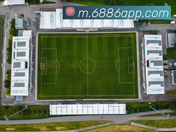 电竞数据